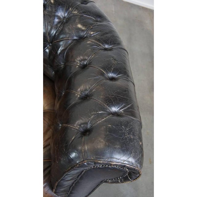 Brown Cowhide 3-Seater Chesterfield Sofa For Sale - Image 8 of 18