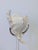 Mid-Century Modern Arthur Court Shell Sculpture on Lucite Stand For Sale - Image 3 of 7