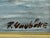 F. Yayboke Turkish Coastal Seascape Signed Oil Painting, Circa 1960's For Sale - Image 11 of 12