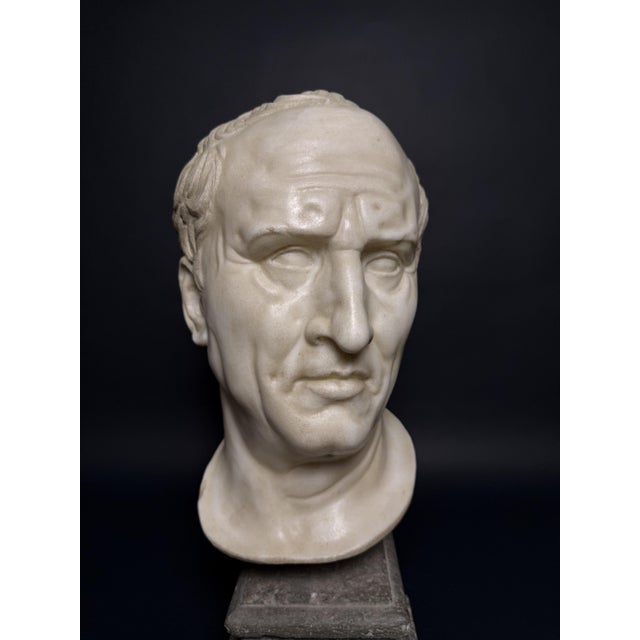 Head of Marcus Tullius Cicero, Late 18th Century, Marble For Sale - Image 3 of 18