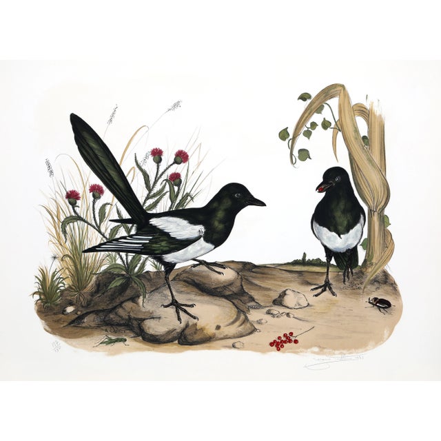 Jerome Trollier Lithograph - Two Birds For Sale