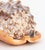 Shell Italian Cameo Carved Conch Shell For Sale - Image 7 of 10