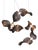 Dune 8 Spiral Chandelier with Shades in Dark Bronze Metallic Tone by Daniel Becker for Moss Objects For Sale