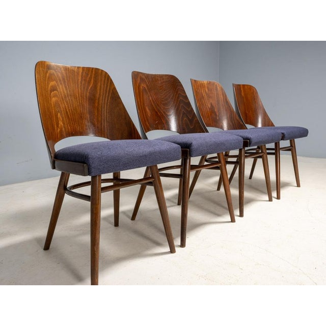 514 Chairs attributed to Oswald Haerdtl for TON, Czechoslovakia, 1950s, Set of 4 For Sale - Image 10 of 13