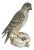 Mottahedeh Hand Painted Falcon on Pillow Made in Italy For Sale