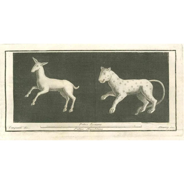 Animals Pompeian Fresco from "Antiquities of Herculaneum" is an etching on paper realized by Vincenzo Campana in the 18th...