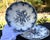 18th Century First Period Worcester Porcelain "Pine Cone" Cress Strainer Set For Sale - Image 9 of 16