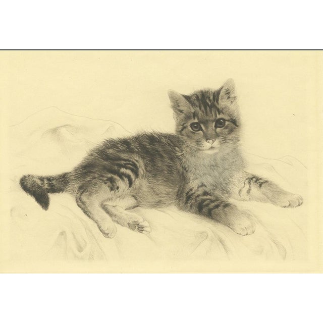 Antique Kitten Etching by Kurt Meyer-Eberhardt – Estate Edition 1977 This charming etching of a kitten, created by the...