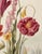 18" X 18" Florilegium - Original Botanical Floral Print, Unframed For Sale - Image 4 of 6