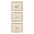 Antique Lydon Morris Hand Colored Seabird Ornithological Prints Framed Set of 3 Circa 1880 For Sale