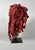 Democratic Republic of Congo Mwana Pwo Mask For Sale - Image 4 of 7