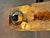 1960s Ceiling Lamp by Toni Zuccheri for VeArt, 1965 For Sale - Image 5 of 18