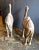 Large Tang-Style Chinese Carved Bactrian Camels - A Pair For Sale - Image 4 of 8