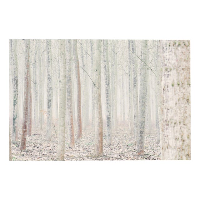 Jaume Llorens, Deep Inside III #9, 2018, Giclée Print For Sale