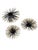 1960s Set of Three Graduated, Starburst or Sea Urchins Wall Decor MCM For Sale - Image 5 of 9