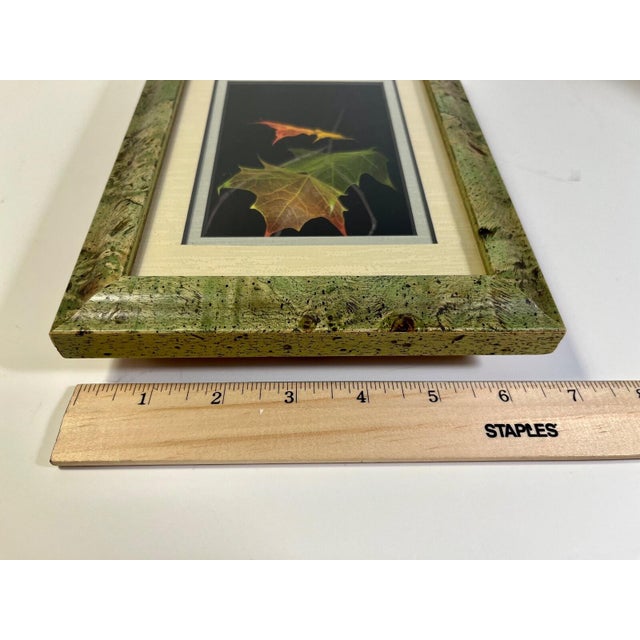 Vintage Booker Morey Norway Maple Leaves Signed Shadow Box Frame # 7-5692 For Sale In Los Angeles - Image 6 of 7