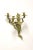 Metal Antique 1920's Solid Brass Rococo Style Candle Wall Sconce For Sale - Image 7 of 8