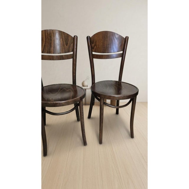 Vintage Ton Wooden Dining Chairs, 1940s, Set of 4 For Sale - Image 11 of 16