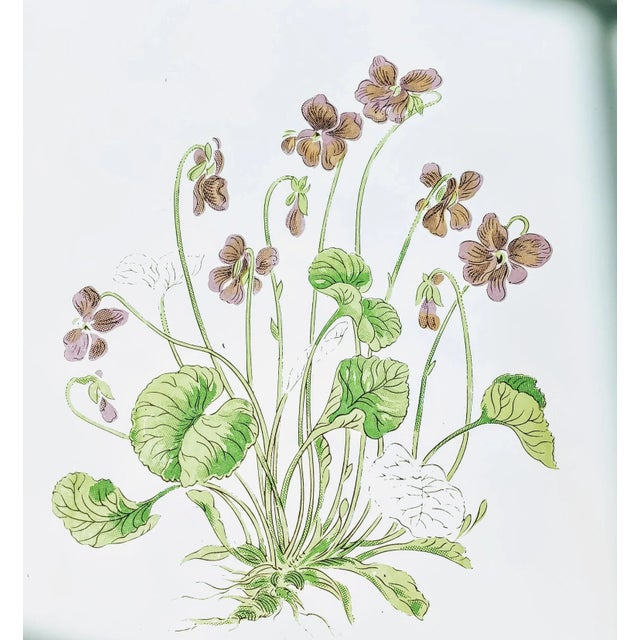 Plastic Otigari Japan Mid-Century Purple Floral Violets Tray For Sale - Image 7 of 10