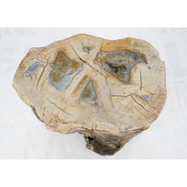 Petrified Wood Organic Shape Multicolor Beige to Black Stand End Table Pedestal For Sale - Image 4 of 10