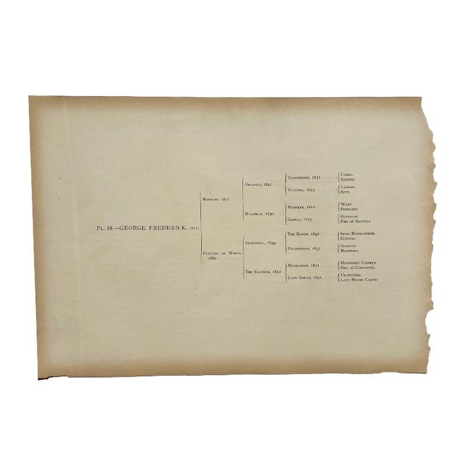 Brown Antique Lithograph “George Frederick” With Lineage Chart, 19th Century For Sale - Image 8 of 9