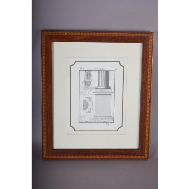 19th Century Architectural Illustrations of Classical Columns, 19th Century, Engravings, Framed, Set of 4 For Sale - Image 5 of 8