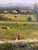 1980s Traditional Pastoral Landscape Oil Painting in a Rustic Pine Frame / English Country Side Scene For Sale - Image 5 of 7