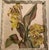 Wood 1940s Benjamin Jorj Harris Yellow Lillys Airbrushed Painting For Sale - Image 7 of 17