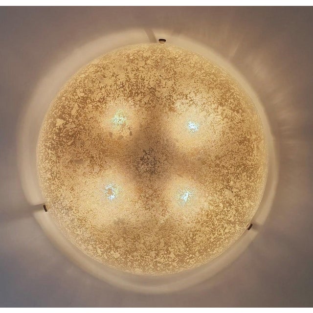Large Murano Speckled Glass Ceiling Lamp by Egon Hillebrand for Hillebrand Leuchten, Germany, 1970s For Sale - Image 12 of 18
