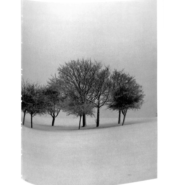 White "Bailey Nw1: Urban Landscapes" 1982 (Inscribed) For Sale - Image 8 of 12