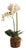 Phalaenopsis Orchid Drop-In 23" For Sale