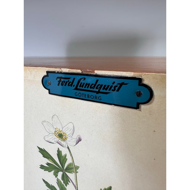 1950’s Swedish Cabinet With Nordens Flora Illustrations For Sale - Image 10 of 11