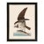 Fish Hawk or Osprey Duchess Edition, After Audubon Reproduction Print, Framed For Sale