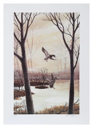 Allen Friedman, Coming in (Ducks), Lithograph