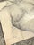 Paper Vintage Original Nude Male Sketch For Sale - Image 7 of 12