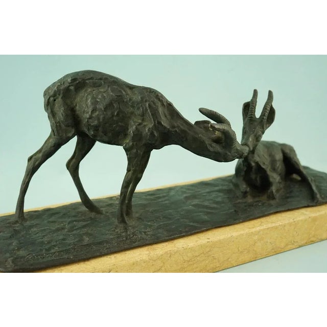 20th Century Bronze Chamois on a Marble Base by Guido Cacciapuoti, Naples, Italy For Sale - Image 16 of 18