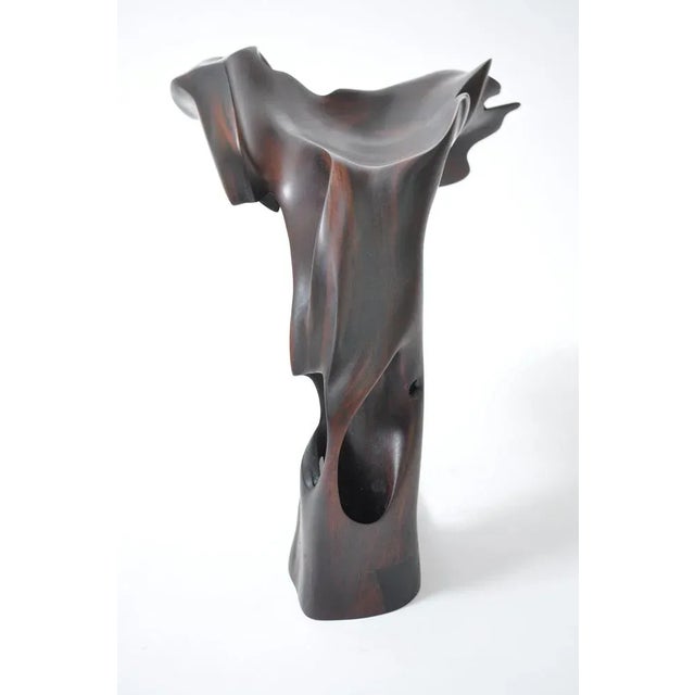 Not Yet Made - Made To Order Tropical Driftwood Sculpture Signed by Jörg Pietschmann For Sale - Image 5 of 8