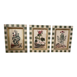 Late 20th Century Set of 3 Botanical Print/Lithograph by Towbridge Gallary For Sale