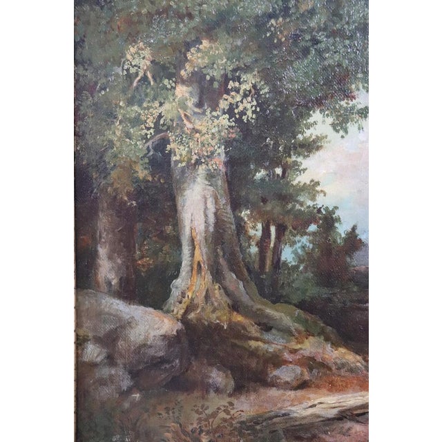 Forest Landscape, Oil Painting on Canvas, Late 19th Century, Framed For Sale - Image 8 of 10