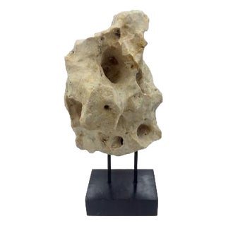 Indonesian Coral Stone On Teak Stand For Sale