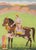 Indian School, Mughal Emperor on Horseback being Exalted by a Subject, Gouache on Paper, unframed. Sheet: 12.75" H x...