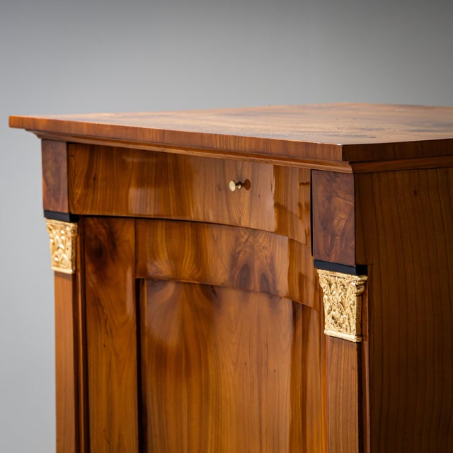 Biedermeier Demi-Cabinet With Pilasters, Circa 1820 For Sale - Image 4 of 12