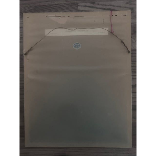 Antique Original J Gould H C Richter Hummingbird "Chlorostilbon Auriceps" Framed Lithograph For Sale - Image 14 of 14