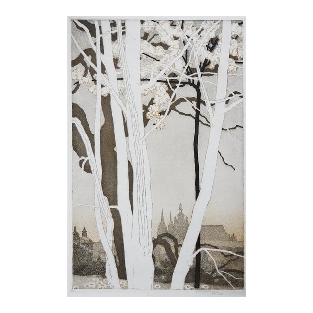 Early 20th Century Vojtech Preissig St. Vitus Cathedral Prague Aquatint For Sale