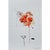 Contemporary Set of 6 - Framed Organic Modern Botanic Oil Paintings by Diane Grant / Contemporary Herbarium / Cy Twombly For Sale - Image 3 of 10