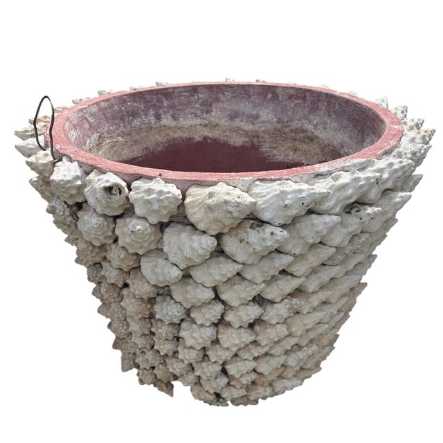 Monumental Italian Coquillage Shell-Encrusted Terracotta Planter, Mid-20th Century For Sale - Image 12 of 14
