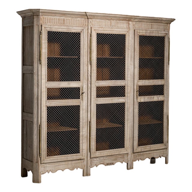 1840-1849 France Weathered Whitewash Cerused Oak Mesh-Front Cabinet For Sale