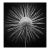 Clathrulina Elegans' Unframed Archival Pigment Print For Sale