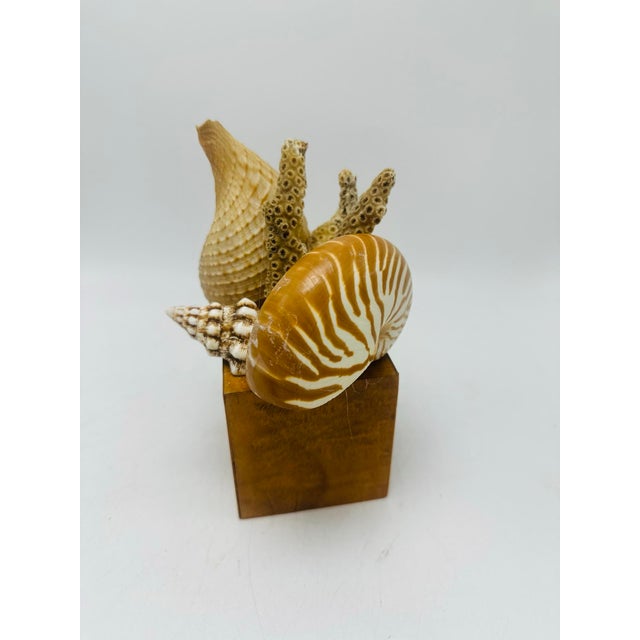 Vintage Handmade Shell Sculpture For Sale - Image 4 of 6