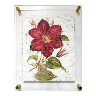 Crimson Clematis — Hand Textured Red Flower Art For Sale